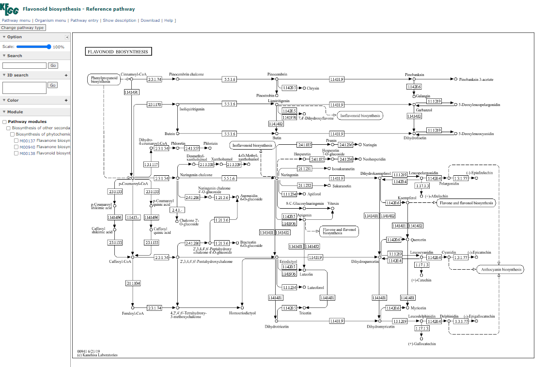 Beginner_for_KEGG_Pathway_Analysis,The_Complete_Guide_picture_6'