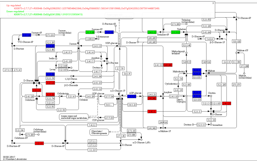 Beginner_for_KEGG_Pathway_Analysis,The_Complete_Guide_picture_9