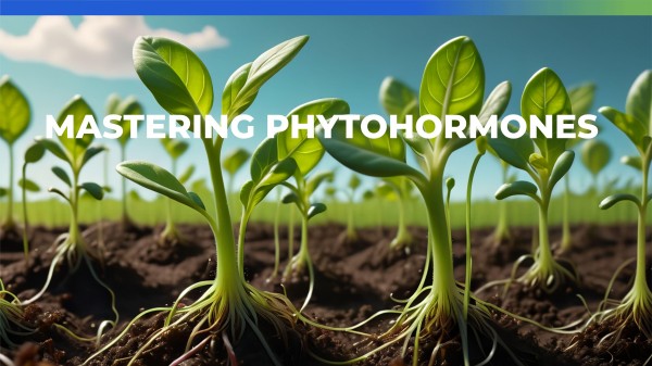 Mastering Plant Hormones: Insights into Synthesis, Transport, and Cutting-Edge Research