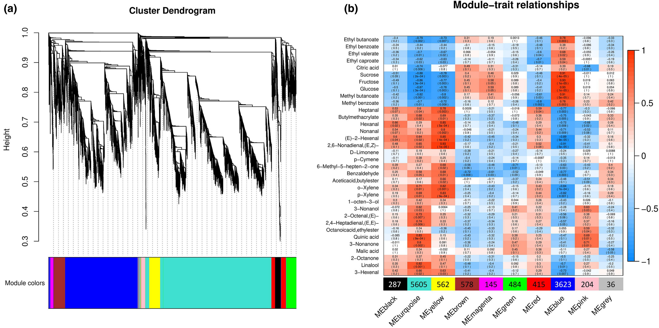 WGCNA_Module_Hierarchical_Clustering_Tree_and_module-trait_associations